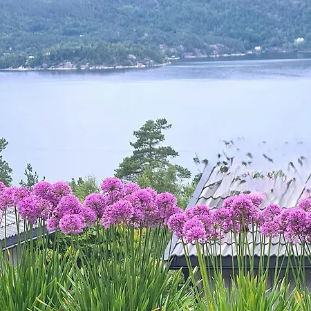 Modern With Sea View In Kragero Vakantiehuis